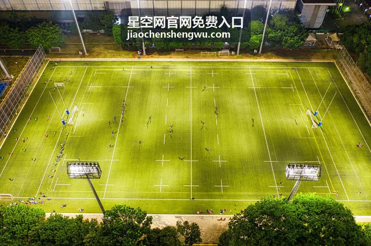 星空网官网免费入口首页直达分组示意