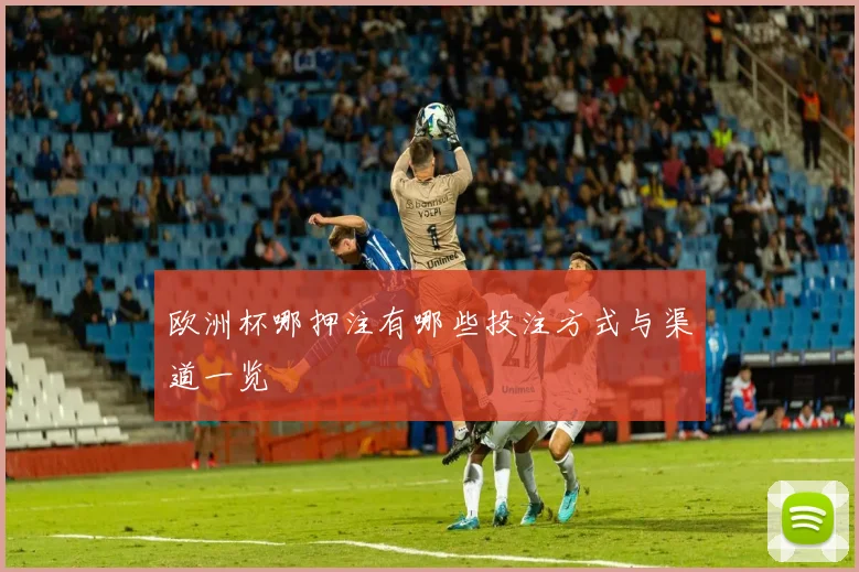 欧洲杯哪押注有哪些投注方式与渠道一览
