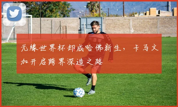 无缘世界杯却成哈佛新生,卡马文加开启跨界深造之路